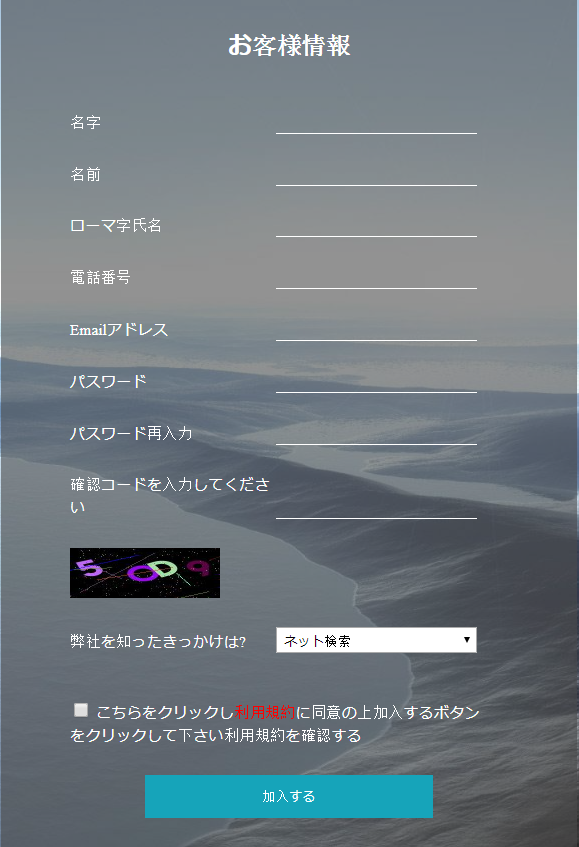 登録ページに入ります。お客様の情報をご入力下さい。